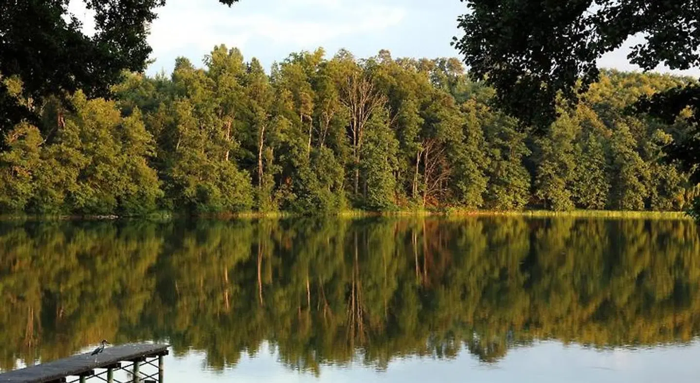 Stary M'yn Strzeszyn LANDSCAPE