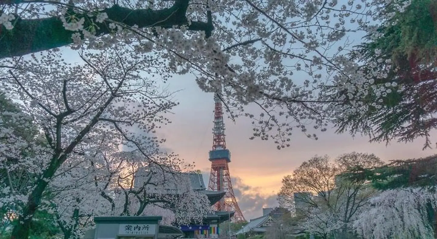 The Westin Tokyo LANDSCAPE