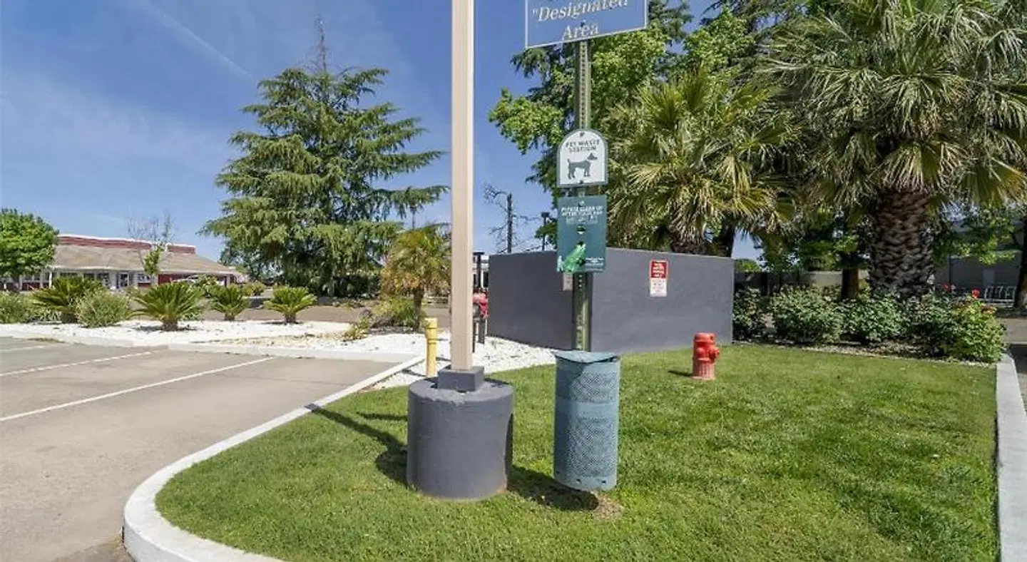 Best Western Antelope Inn & Suites Garten