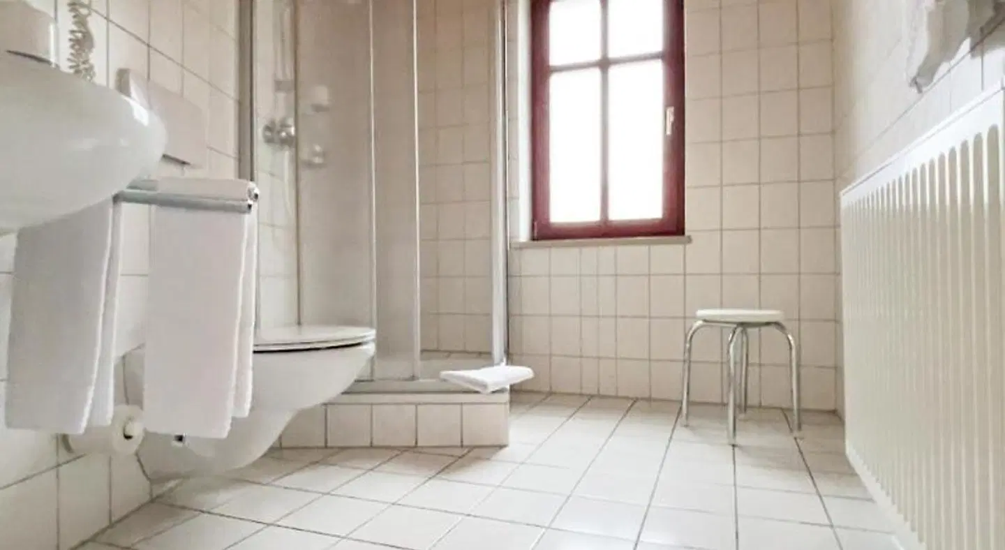 Hotel Zur Alten Schmiede HEALTH_BEAUTY