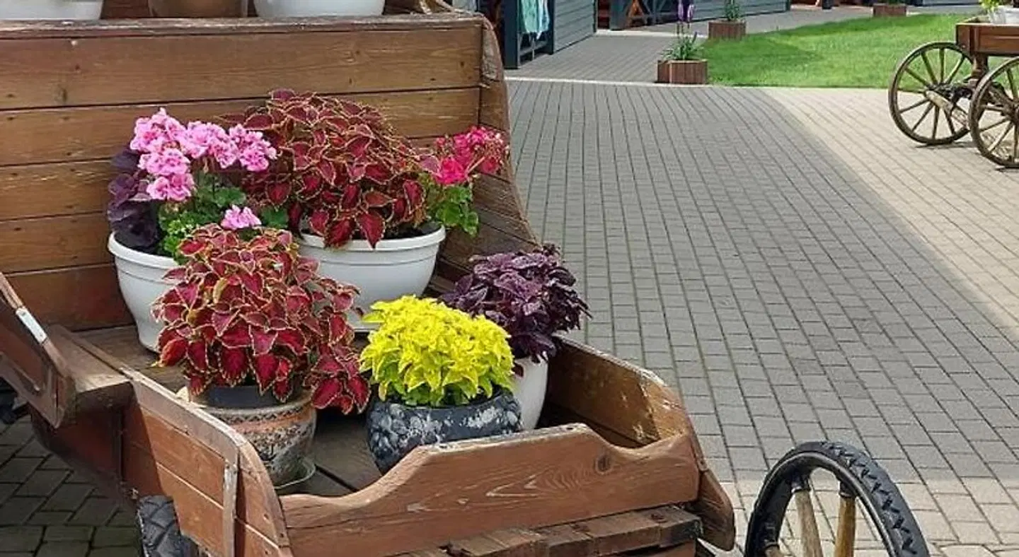Sodyba Diugutis Terrasse