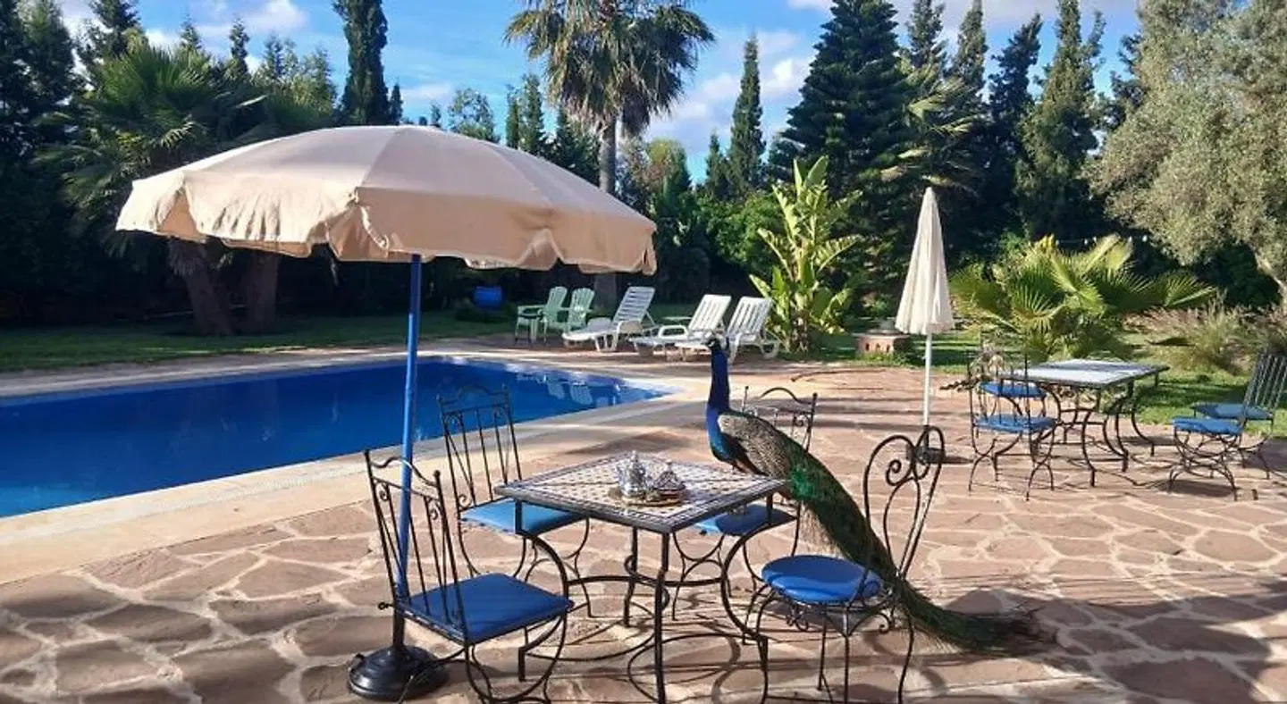 Riad Tanjil Terrasse