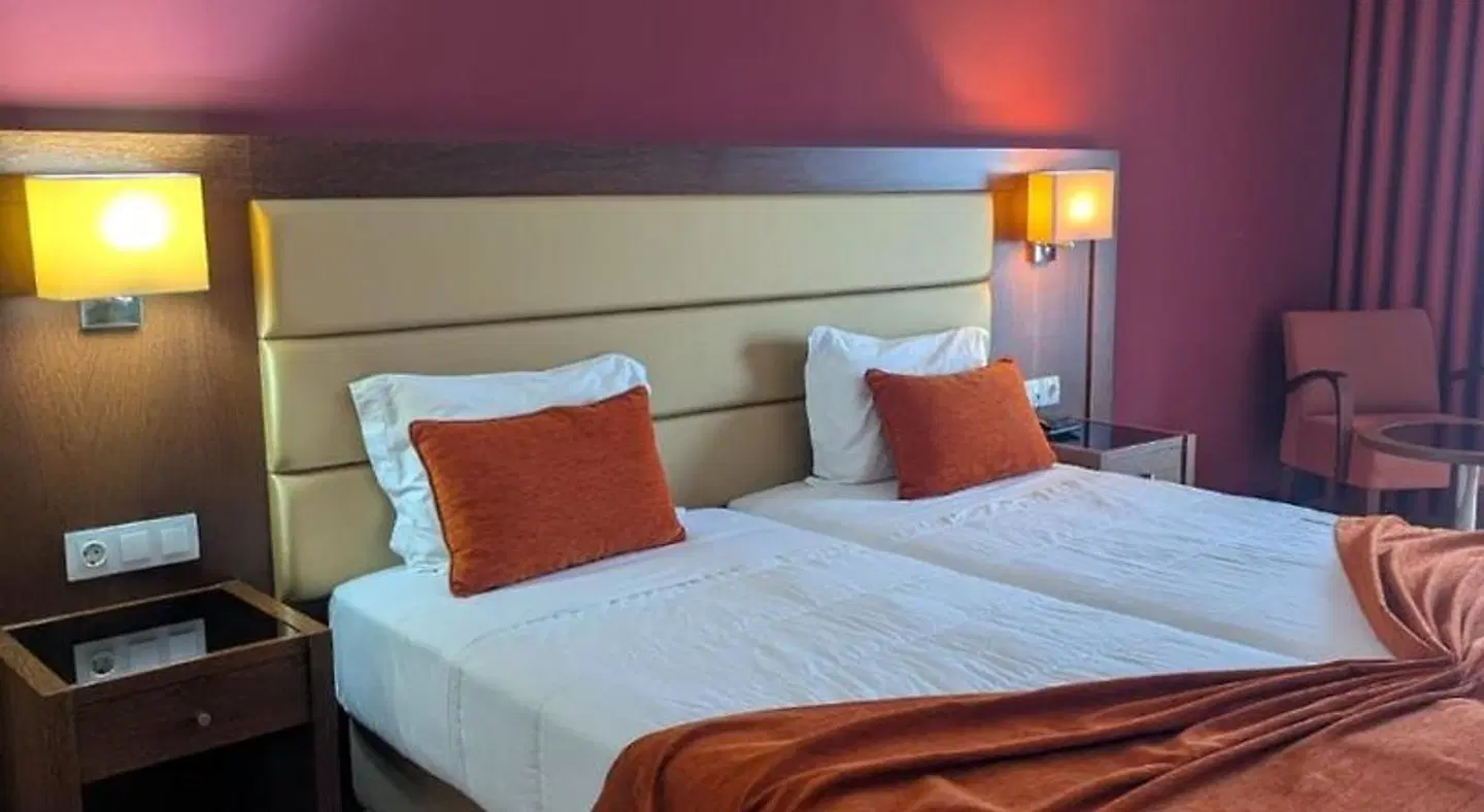 Palace Hotel & SPA Termas do Bicanho ROOM_EXAMPLE