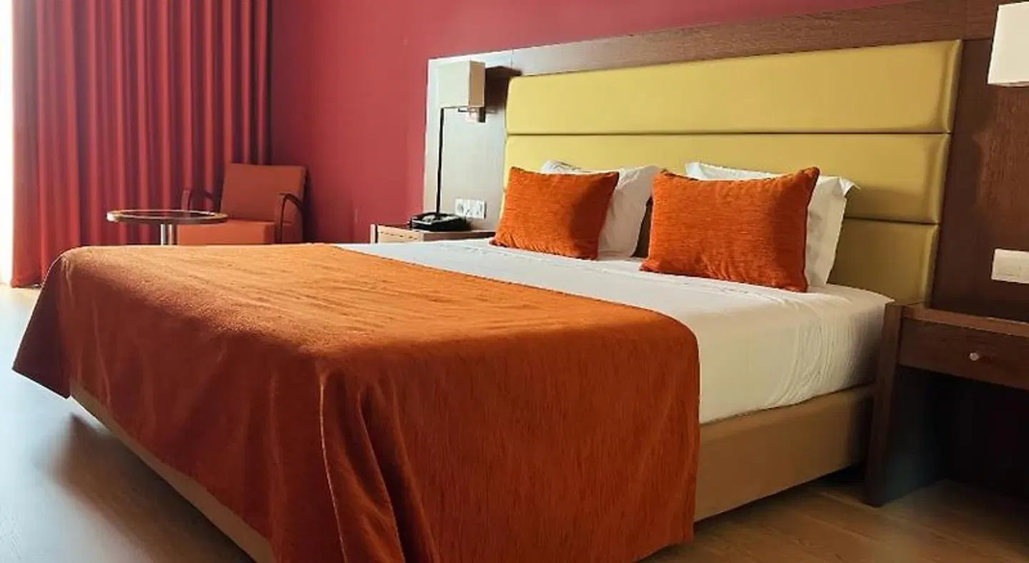 Palace Hotel & SPA Termas do Bicanho ROOM_EXAMPLE