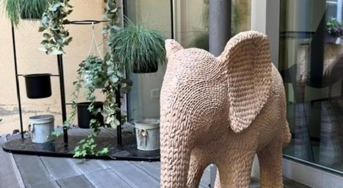 De l'Ecluse Tiere