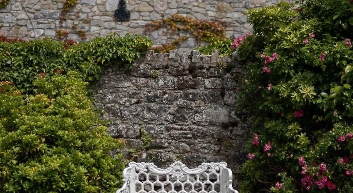 Cabra Castle LANDSCAPE