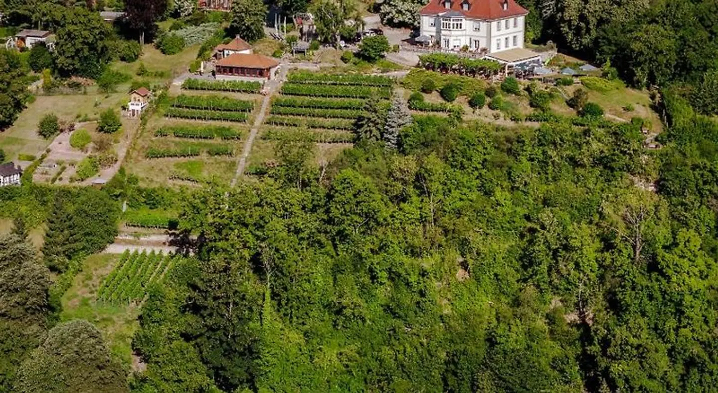 Villa Ilske Garten