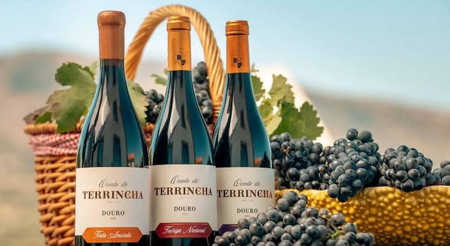 Quinta da Terrincha EXTERIOR