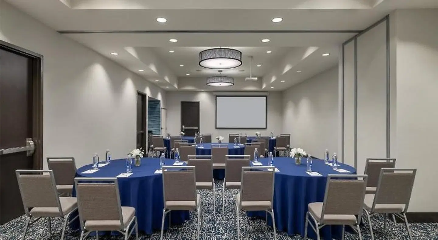 Hampton Inn & Suites Roanoke-Downtown Konferenz