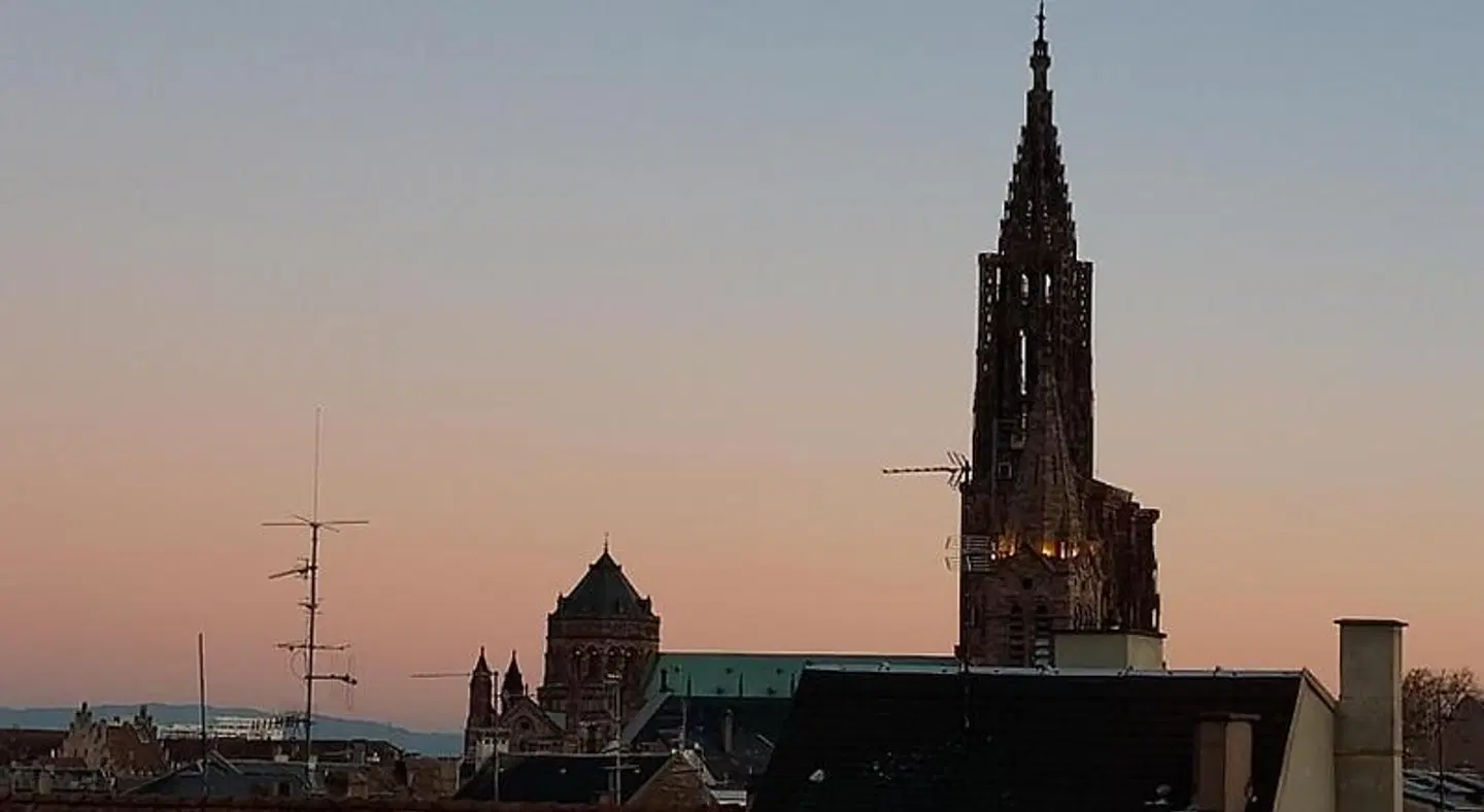 Mercure Strasbourg Centre Hotel LANDSCAPE