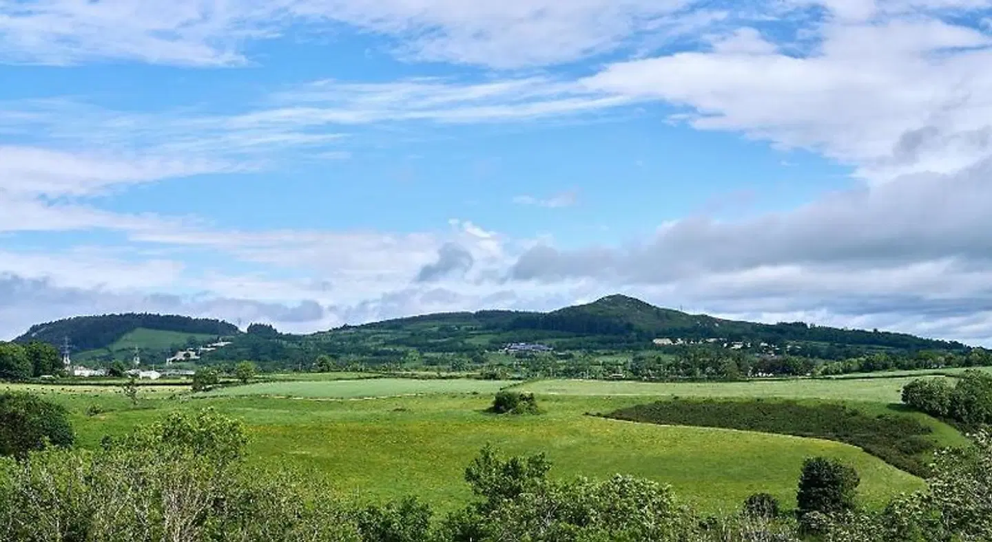 Summerhill House LANDSCAPE