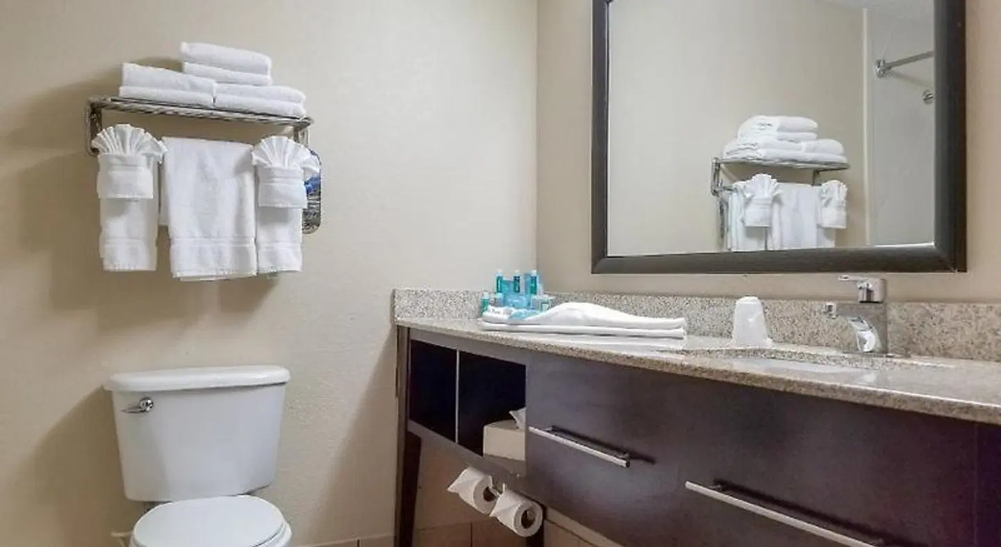Holiday Inn Express & Suites Orange City - Deltona by IHG Badezimmer