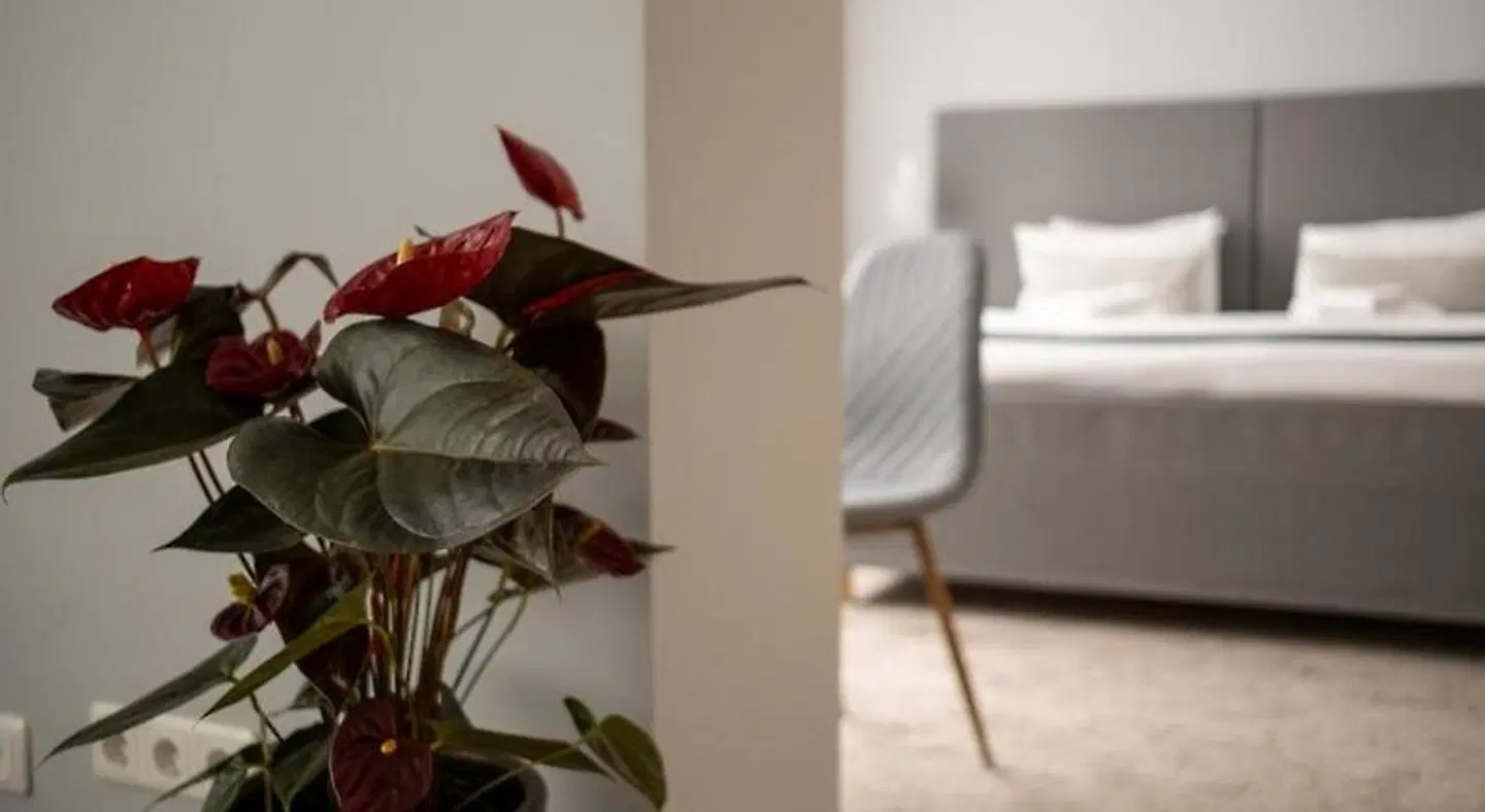 Siaures Vartai ROOM_EXAMPLE