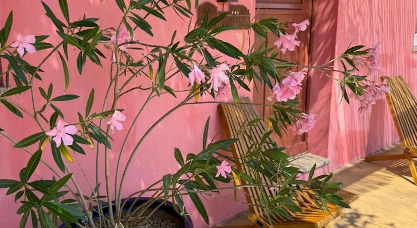 Casa das Jardas LOUNGE_LOBBY