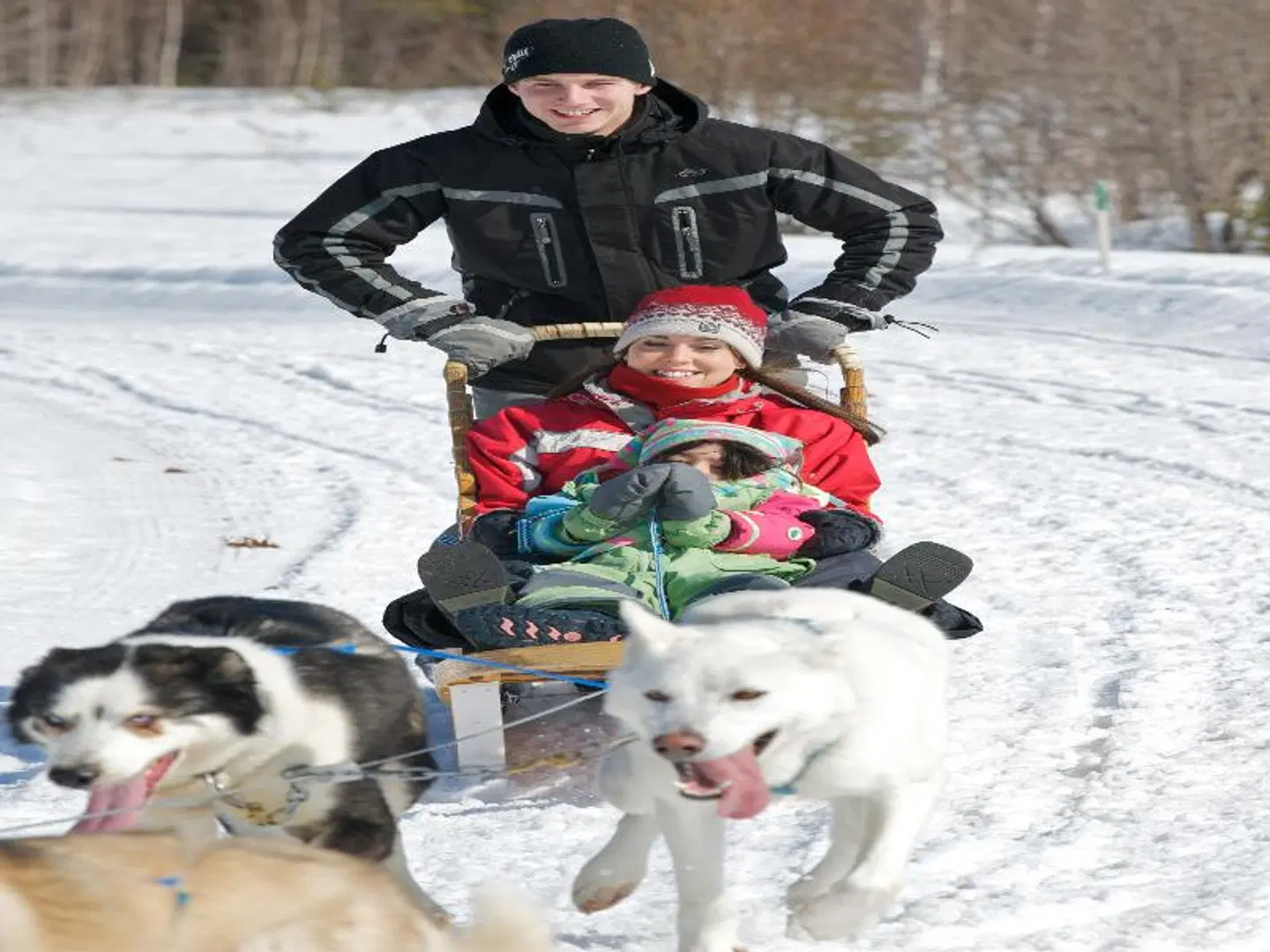 Le Baluchon Éco-villégiature Tiere