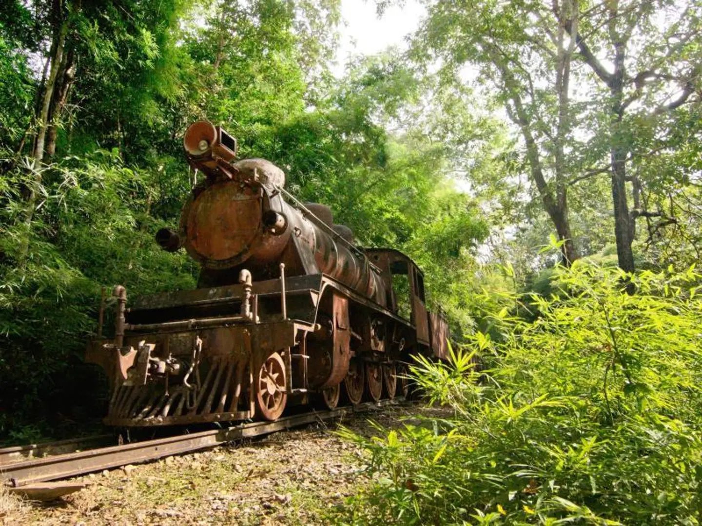 Home Phutoey River Kwai Resort Tiere