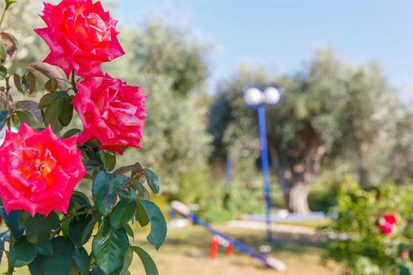 Filoxenia Hotel Apartments SPORTS_AND_LEISURE