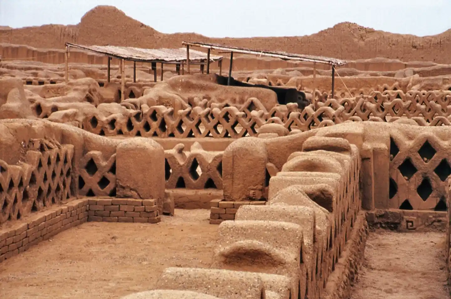 Peru - Faszinierender Norden Tiere