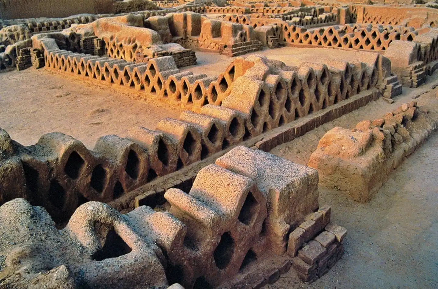 Peru - Faszinierender Norden Tiere