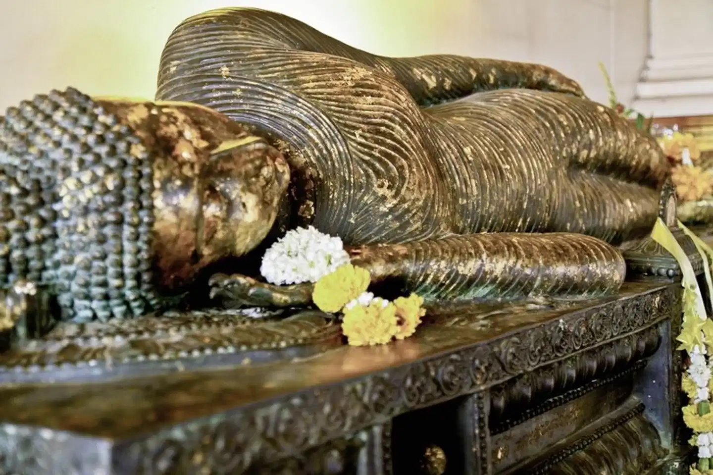 Thailand - Auf den Spuren von Land und Leuten (Privatreise) Tiere