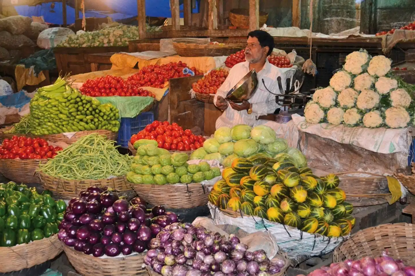 Südindien zum Kennenlernen Garten