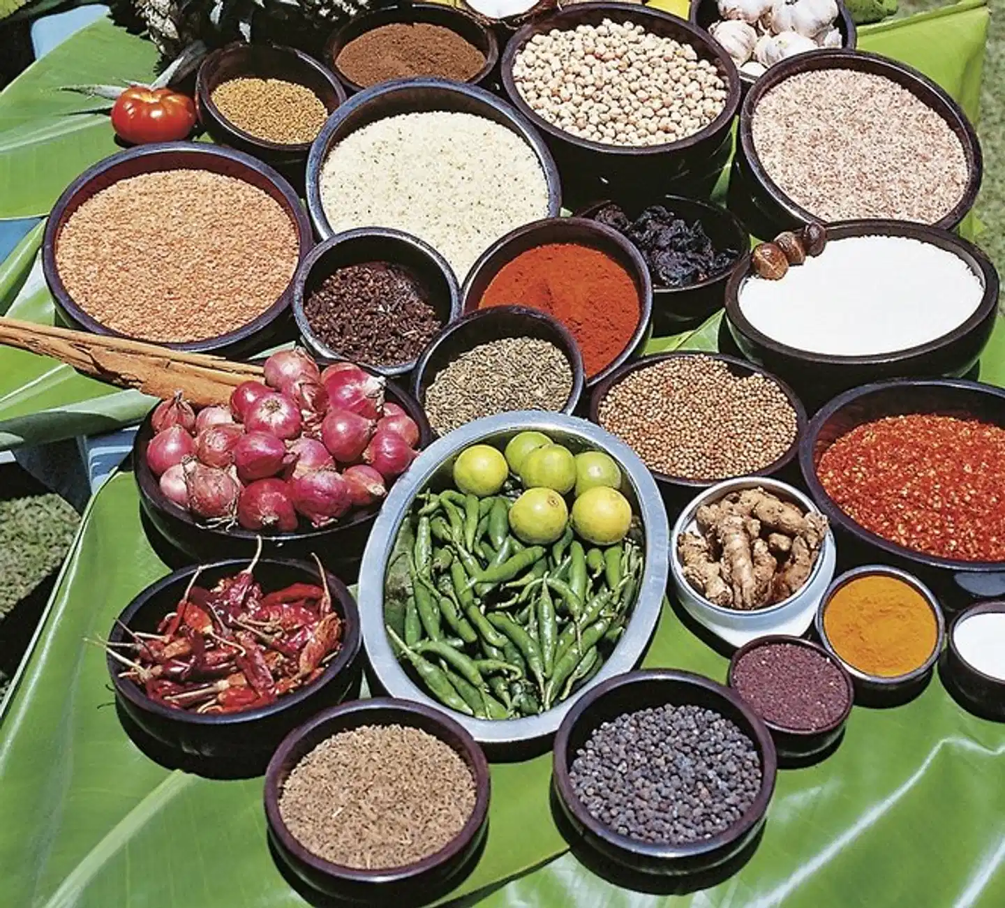 Sri Lanka hautnah erleben Modellaufnahme