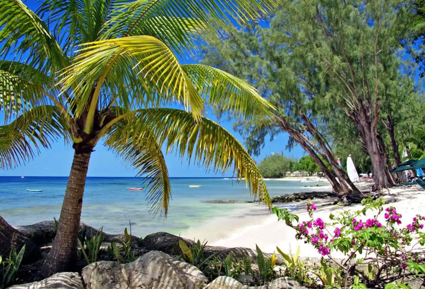 Coral Reef Club Strand