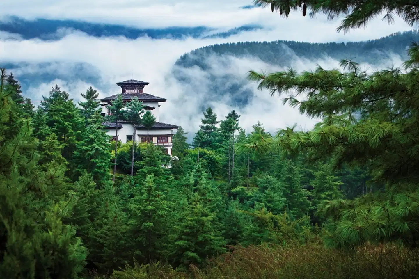 Faszination Nepal und Bhutan Garten