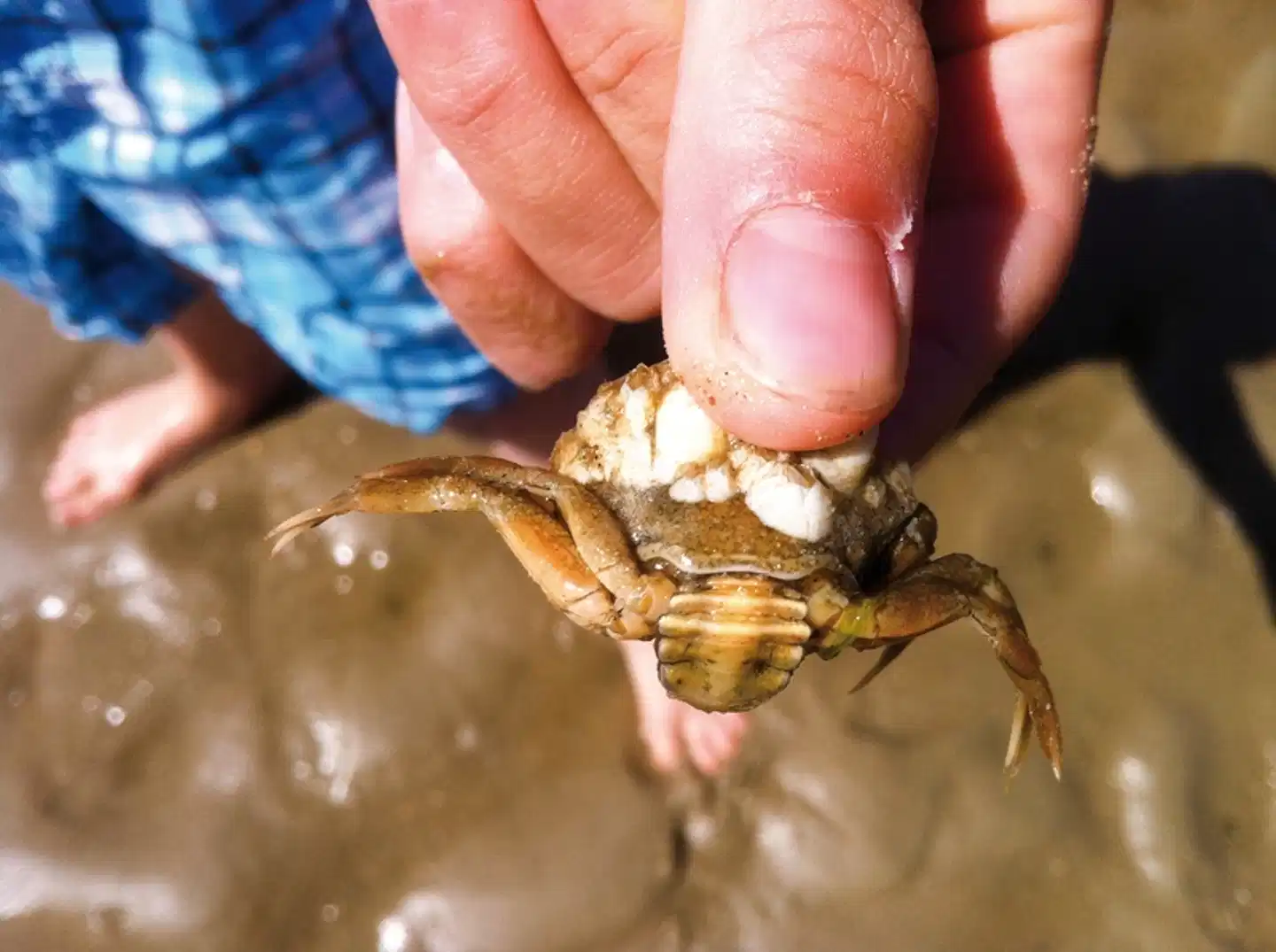 Inselhopping Nordfriesland Wellness