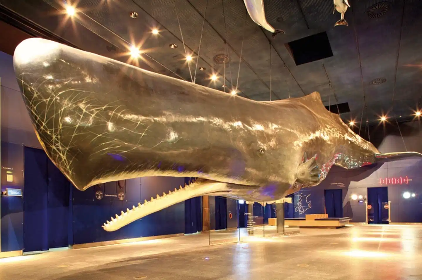 Nordseezauber Schleswig-Holstein Lobby