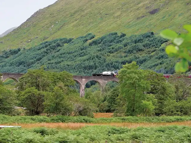 Stippvisite Schottland Tiere