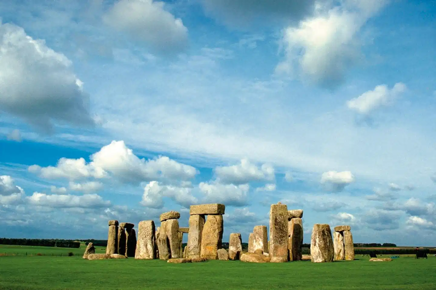 Erlebnis Grüne Inseln - Großbritannien und Irland Tiere