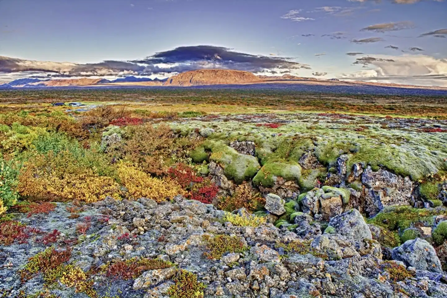 Island intensiv Landschaft