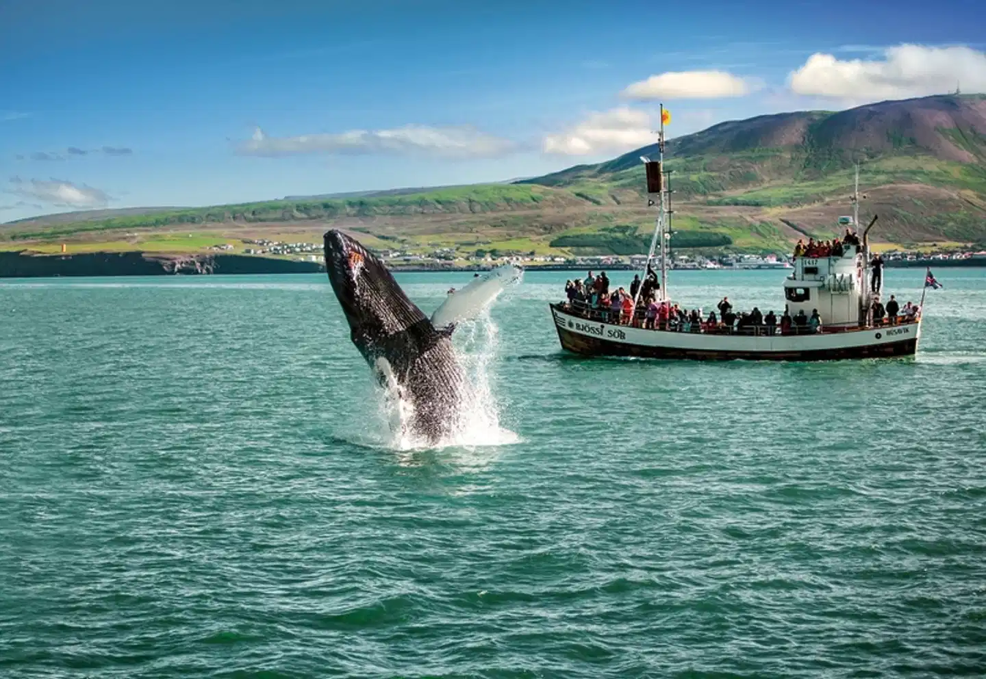 Panoramarundreise Island Sport und Entertainment