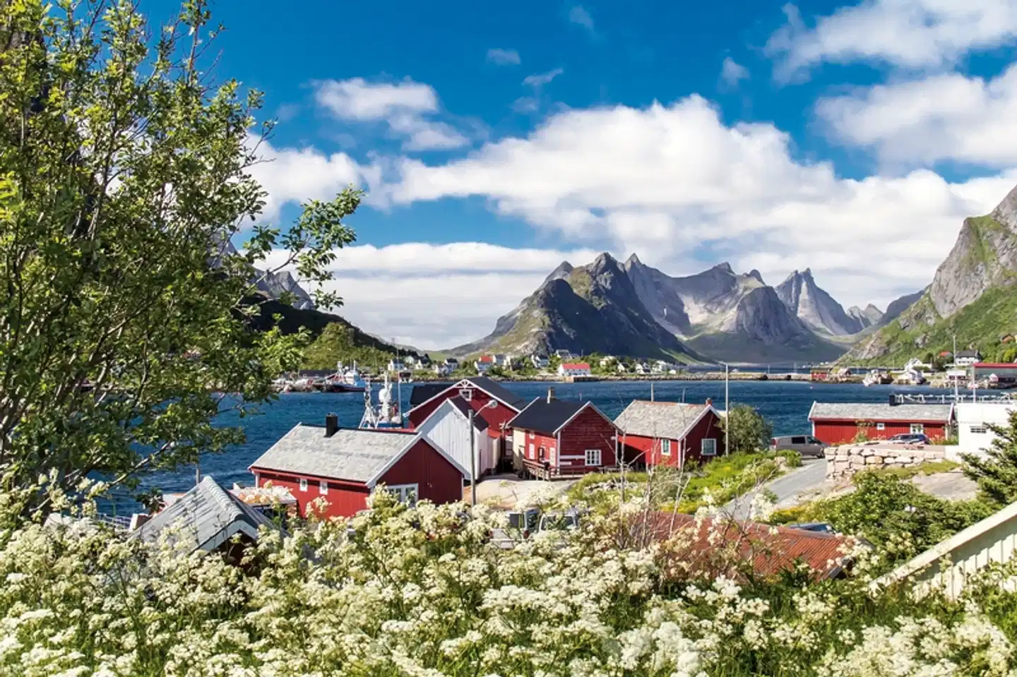 Erlebnis Lofoten - unterwegs auf der Arctic Route Strand