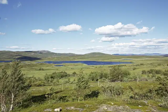 Lappland, Lofoten und Nordkap (ab Tromsø) Landschaft