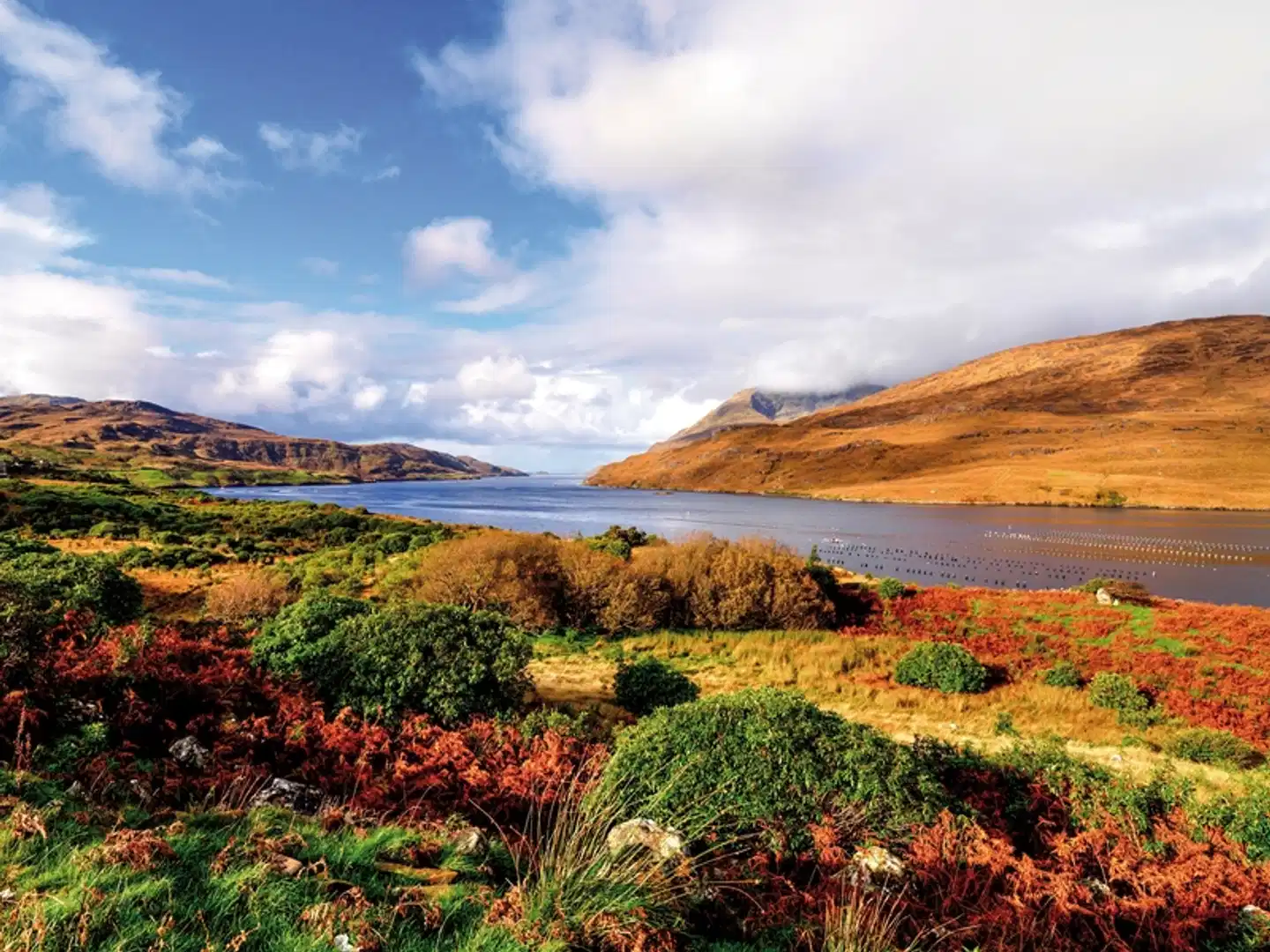Irlands spektakuläre Küstenstraße Landschaft
