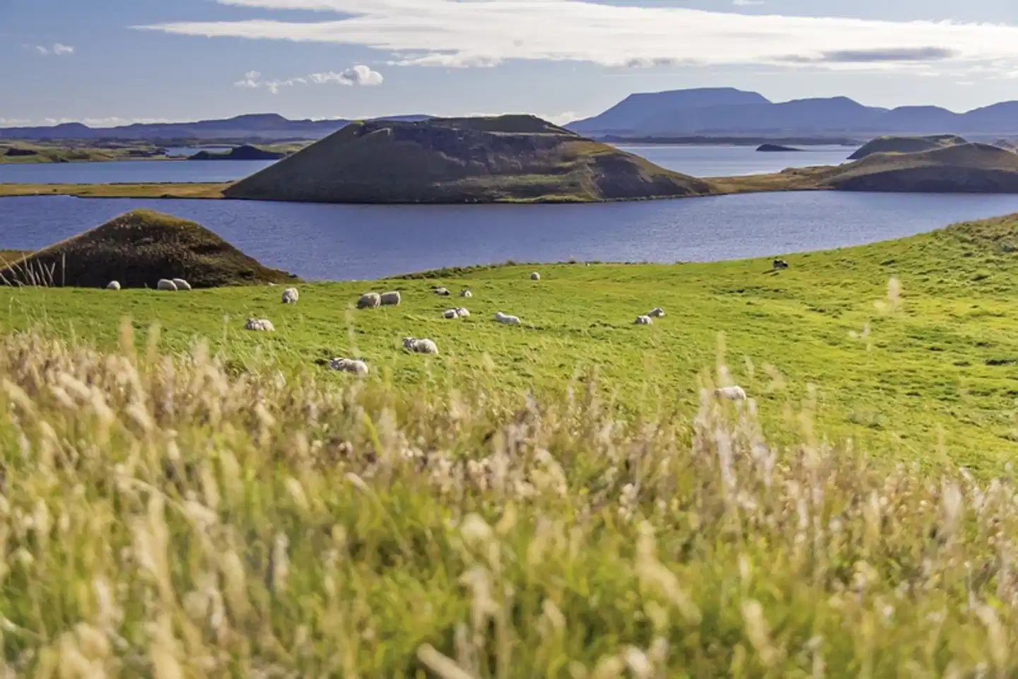 Hochland, Gletscher und Geysire Landschaft