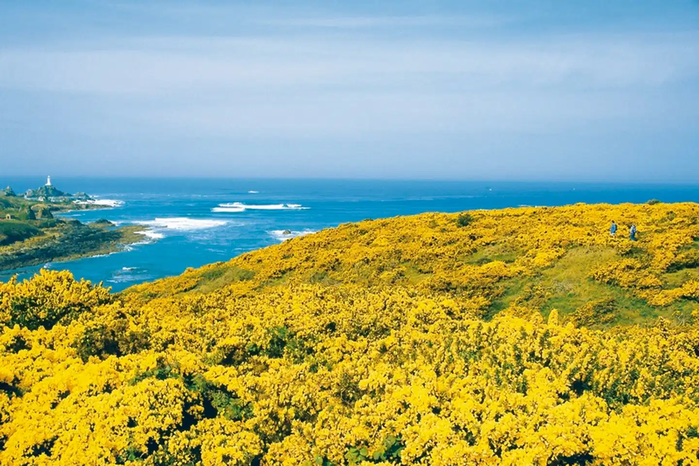 Jersey mit dem Rad erkunden Landschaft