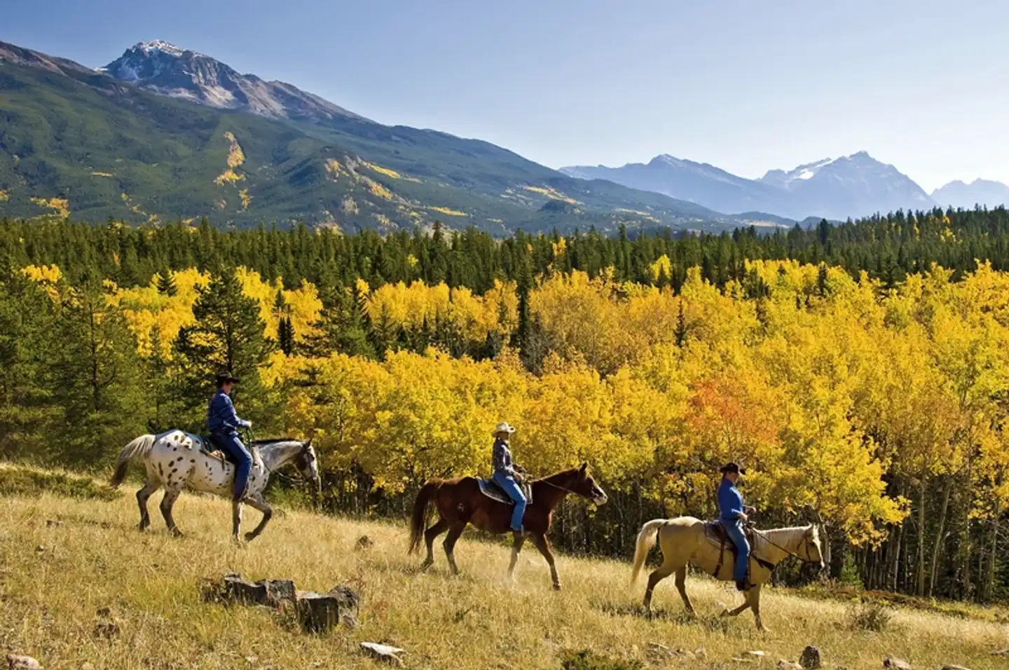 Rocky Mountain Family Adventure Tiere