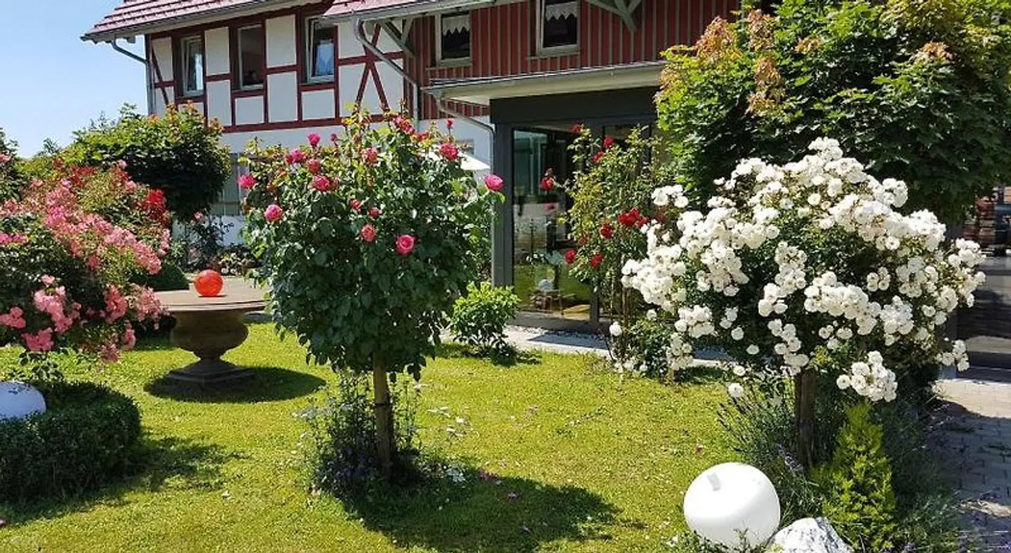 Landgut Apfelrose Garten