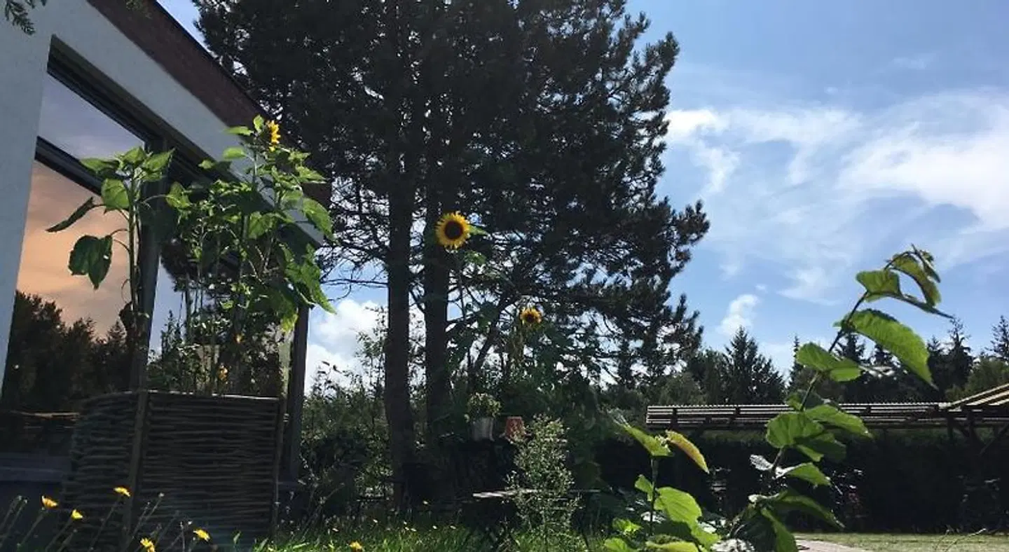 Hotel-Pension Seeadler LANDSCAPE