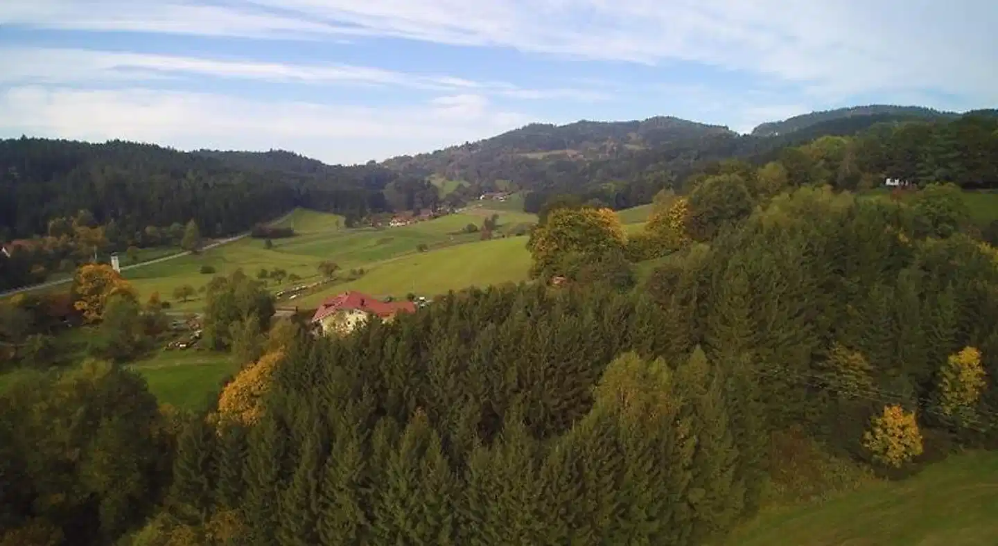 Village Hotel Bayerischer Wald Landschaft