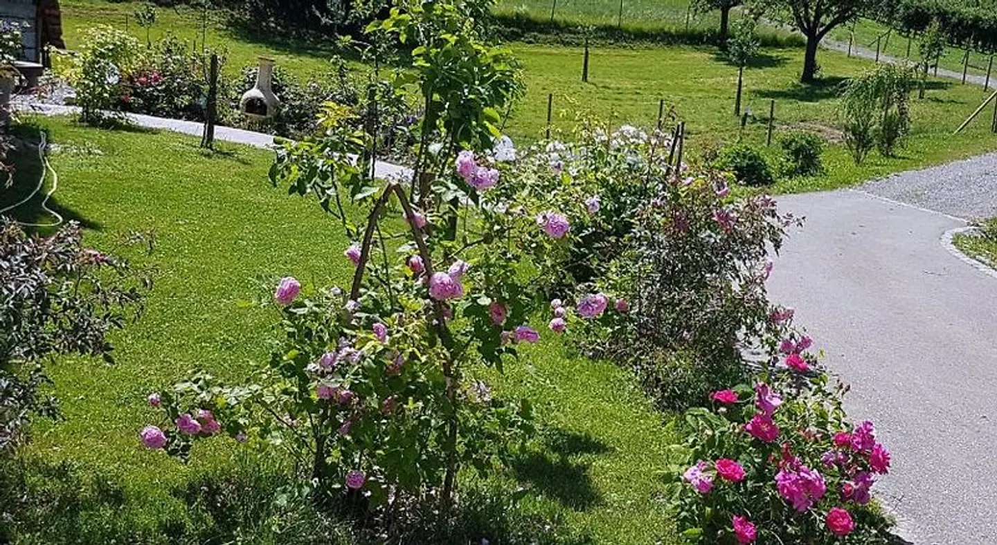 Landgut Apfelrose Garten