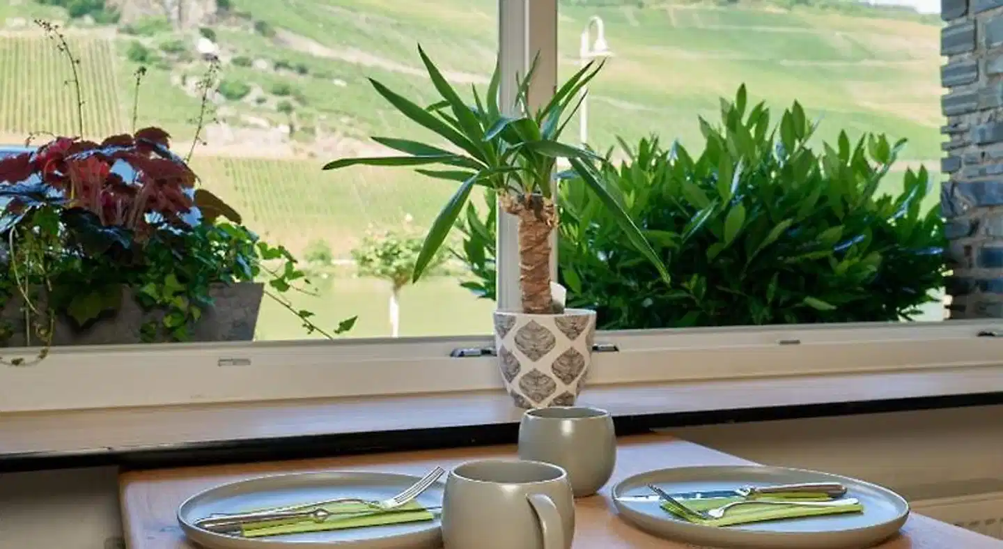 Moselhotel Sonnenuhr Terrasse