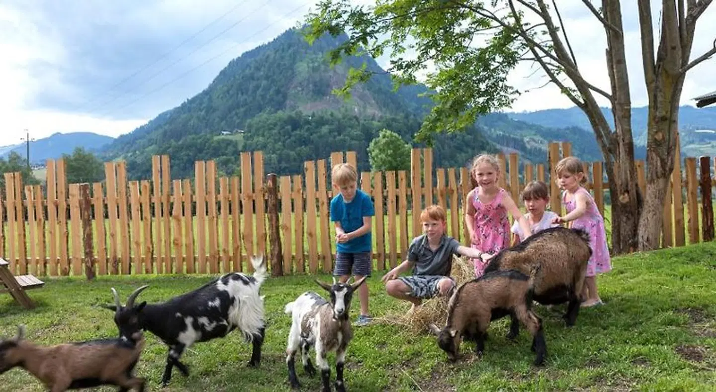 Lerch Plankenau Tiere