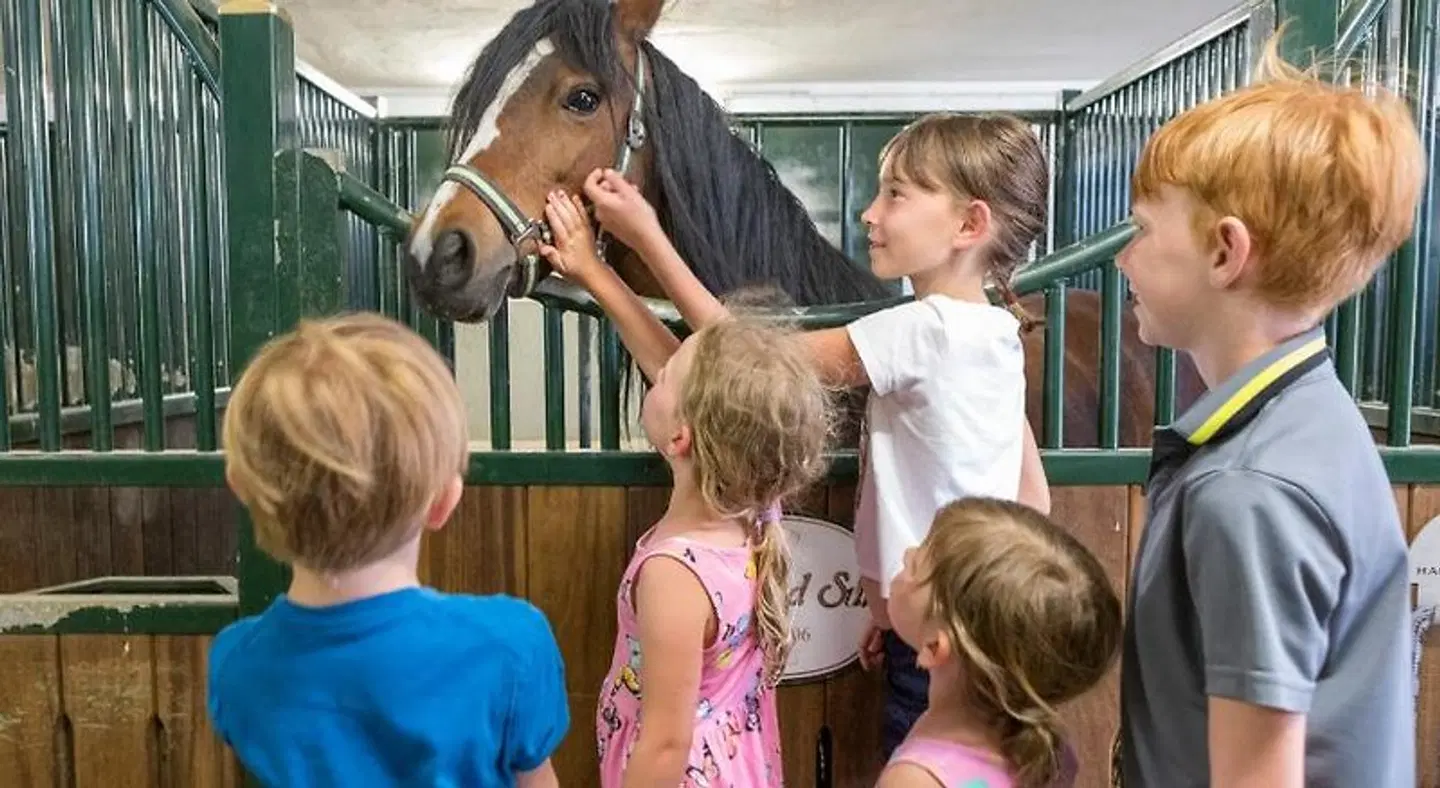 Lerch Plankenau SPORTS_AND_LEISURE