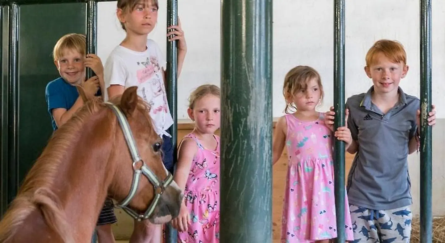 Lerch Plankenau PEOPLE