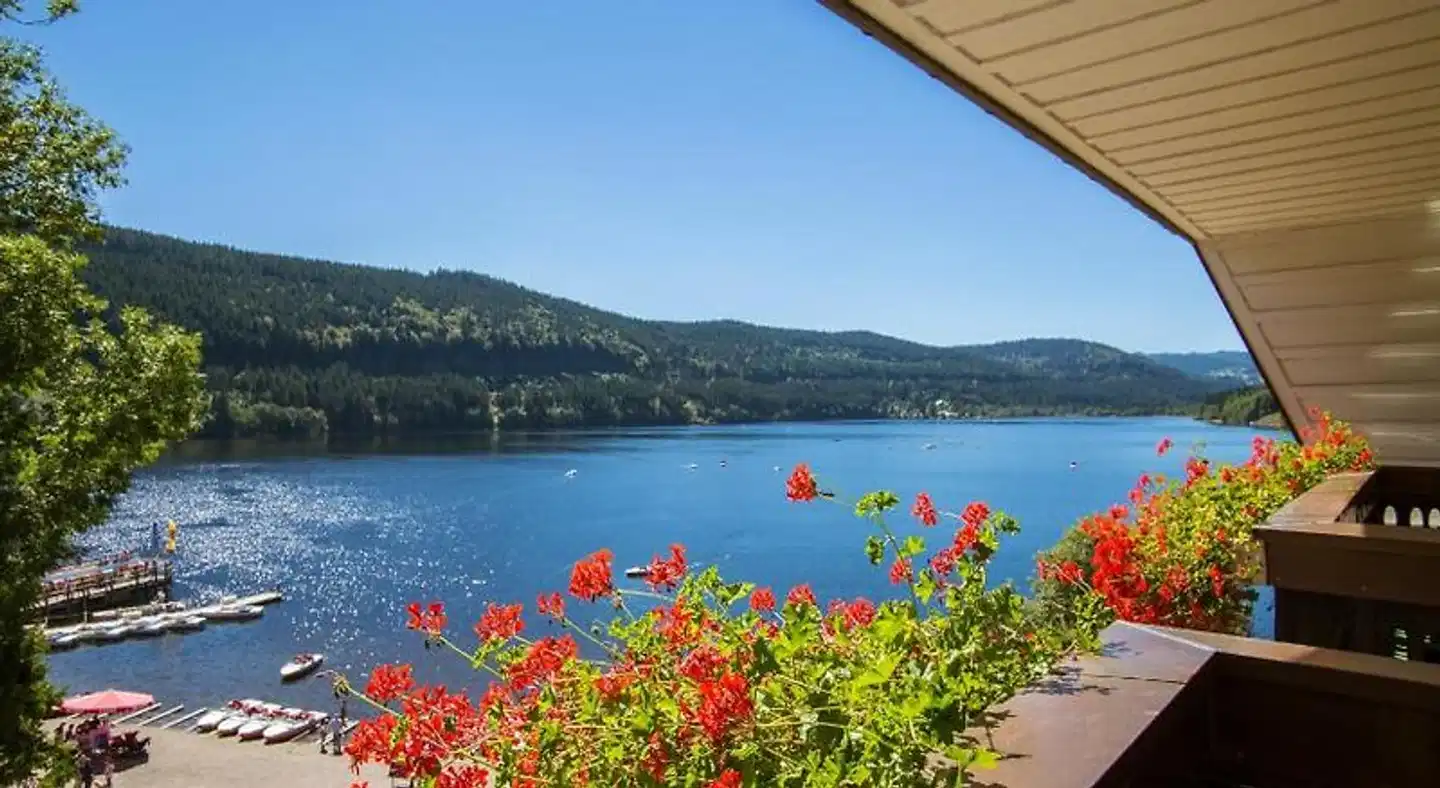 Treschers Schwarzwaldhotel am See Strand