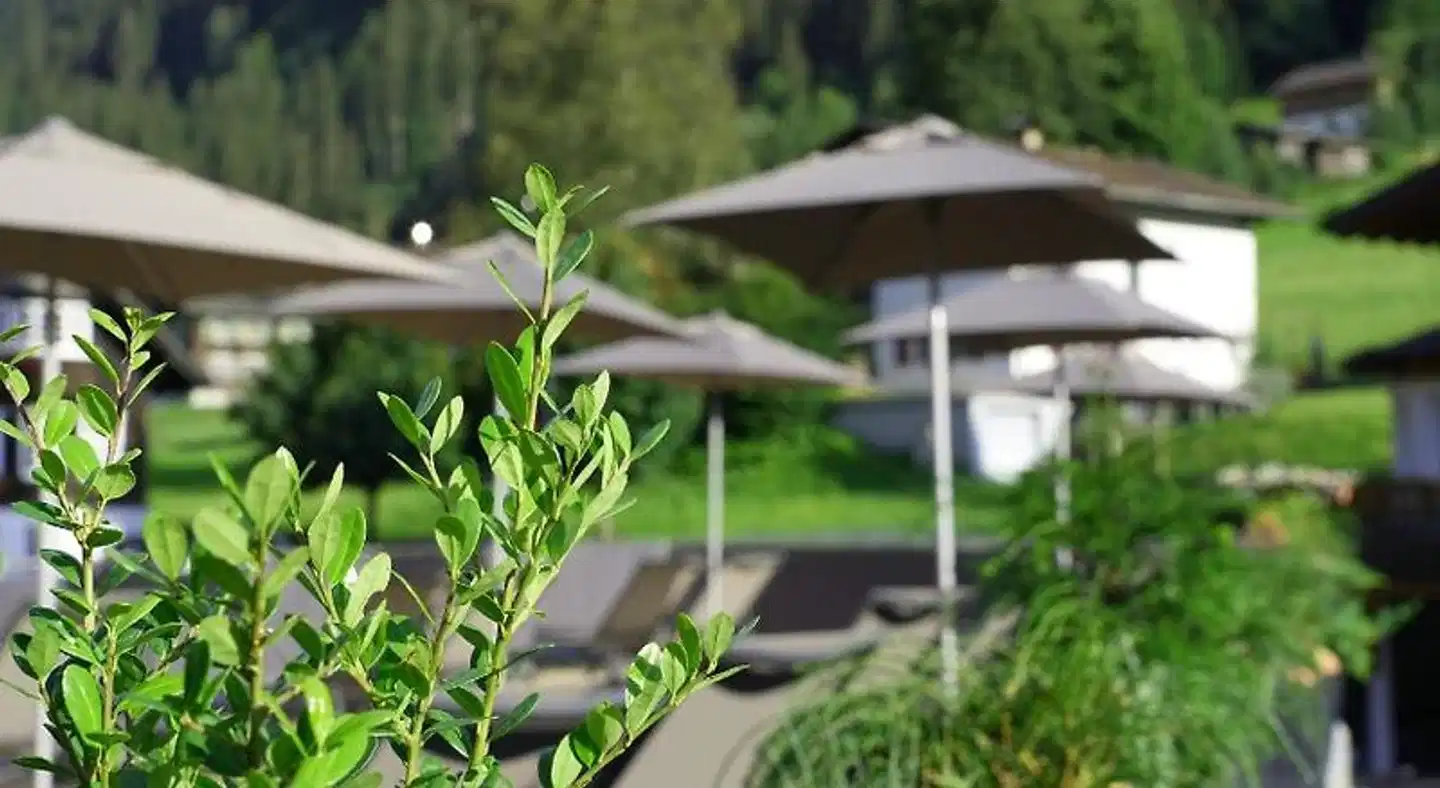 Hotel Bergkristall Garten